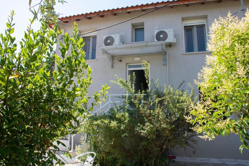 Anadora 2: Hospitable Stone House With Yard Daire Dedeağaç Dış mekan fotoğraf