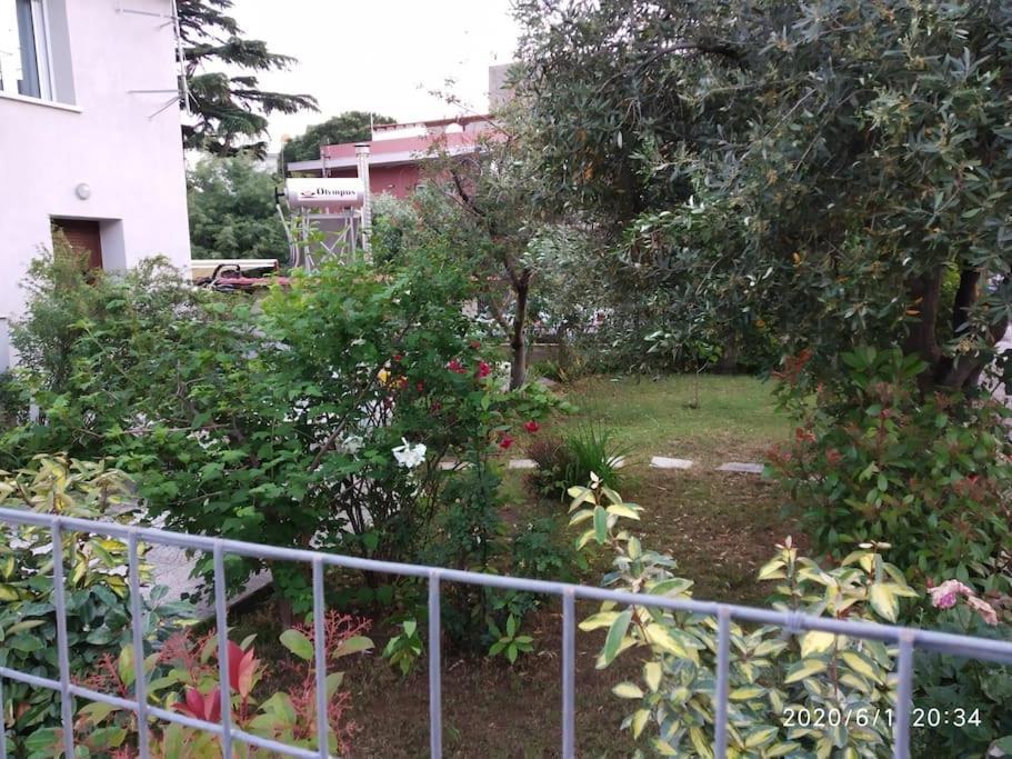 Anadora 2: Hospitable Stone House With Yard Daire Dedeağaç Dış mekan fotoğraf
